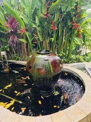 Mera Gardens (D23), Detached #574234661